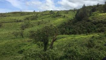 Off Kanaio-Kalama Park  Kula, Hi vacant land for sale - photo 4 of 5