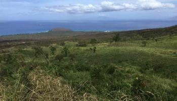 Off Kanaio-Kalama Park  Kula, Hi vacant land for sale - photo 5 of 5