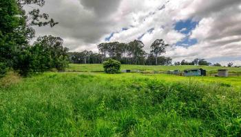 0 Olinda Rd  Makawao, Hi vacant land for sale - photo 2 of 22