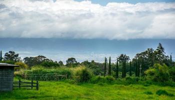 0 Olinda Rd  Makawao, Hi vacant land for sale - photo 3 of 22