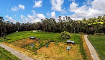 0 Olinda Rd  Makawao, Hi vacant land for sale - photo 5 of 22