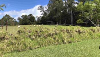 0 Olinda Rd  Makawao, Hi vacant land for sale - photo 2 of 16