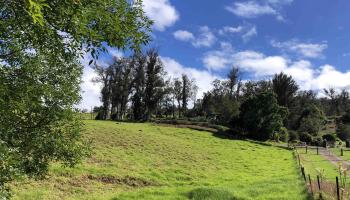 0 Olinda Rd  Makawao, Hi vacant land for sale - photo 3 of 16