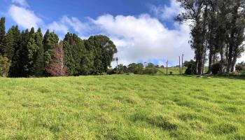 0 Olinda Rd  Makawao, Hi vacant land for sale - photo 4 of 16