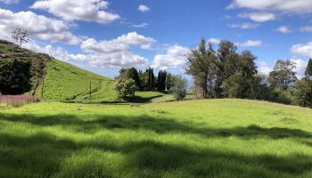 0 Olinda Rd  Makawao, Hi vacant land for sale - photo 5 of 16