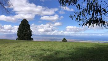 0 Olinda Rd  Makawao, Hi vacant land for sale - photo 6 of 16