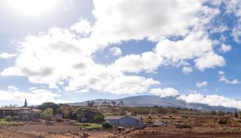 OMAOPIO Rd Kula, Hi 96790 vacant land - photo 4 of 7 OMAOPIO Rd Kula, Hi 96790 vacant land - photo 4 of 7