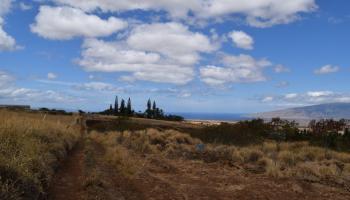 0 Omaopio Rd  Kula, Hi vacant land for sale - photo 6 of 19