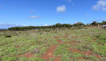 0 Pa Loa Loop 91 Maunaloa, Hi vacant land for sale - photo 3 of 23