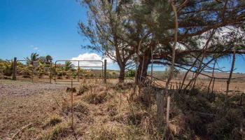 Pa Loa Loop Lot 84 Maunaloa, Hi vacant land for sale - photo 4 of 20