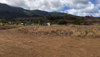 Piihana Rd  Wailuku, Hi vacant land for sale - photo 3 of 6