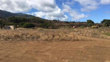 Piihana Rd  Wailuku, Hi vacant land for sale - photo 6 of 6