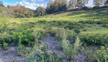 Piiholo Road  Makawao, Hi vacant land for sale - photo 3 of 3