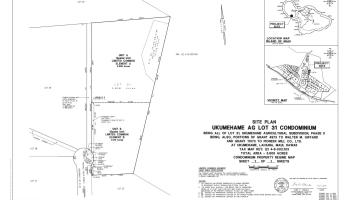 Pohaku Aeko St Ukumehame  - photo 5 of 14