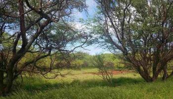 0 Pohakuloa Rd 199 Maunaloa, Hi vacant land for sale - photo 5 of 9