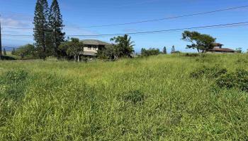 Pu'unana St 723 Maunaloa, Hi vacant land for sale - photo 4 of 9