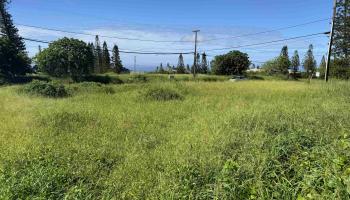 Pu'unana St 723 Maunaloa, Hi vacant land for sale - photo 5 of 9