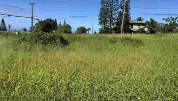 Pu'unana St 723 Maunaloa, Hi vacant land for sale - photo 6 of 9