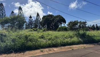 0 Pu'unana St 724 Maunaloa, Hi vacant land for sale - photo 6 of 9