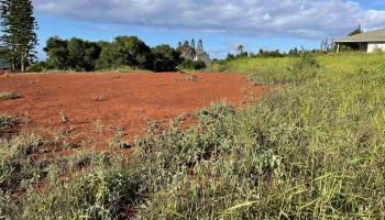 Puunana St D70 Maunaloa, Hi vacant land for sale - photo 3 of 10