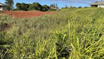 Puunana St D70 Maunaloa, Hi vacant land for sale - photo 4 of 10