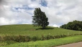 0 Puuomalei Rd , Hi vacant land for sale - photo 2 of 6 0 Puuomalei Rd , Hi vacant land for sale - photo 2 of 6