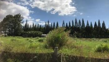 0 Puuomalei Rd , Hi vacant land for sale - photo 3 of 6 0 Puuomalei Rd , Hi vacant land for sale - photo 3 of 6