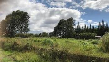 0 Puuomalei Rd  , Hi vacant land for sale - photo 4 of 6