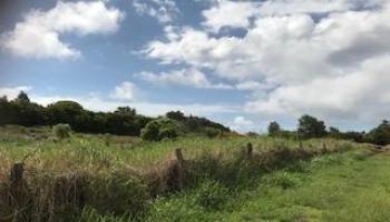 0 Puuomalei Rd  , Hi vacant land for sale - photo 5 of 6