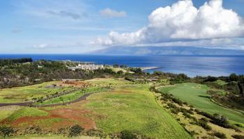 0 Uki Uki Loop 12 Lahaina, Hi vacant land for sale - photo 6 of 9