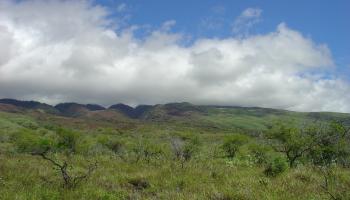 0 Ulua Rd 173 Kaunakakai, Hi vacant land for sale - photo 3 of 24