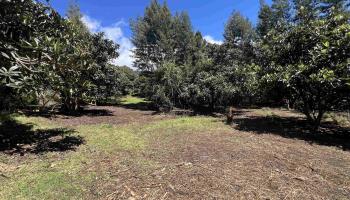0 Waiakoa Rd  Kula, Hi vacant land for sale - photo 1 of 1