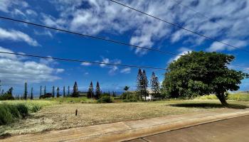 0 Waieli St F-15 Maunaloa, Hi vacant land for sale - photo 2 of 21