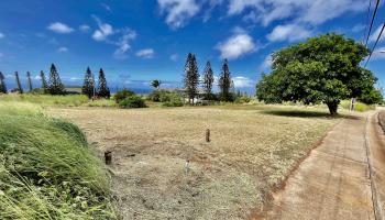 0 Waieli St F-15 Maunaloa, Hi vacant land for sale - photo 5 of 21
