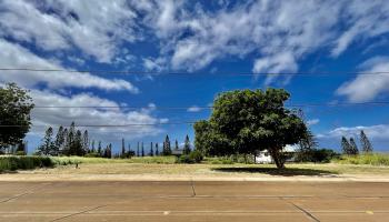 0 Waieli St F-15 Maunaloa, Hi vacant land for sale - photo 6 of 21