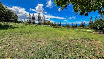 0 Waieli St  Maunaloa, Hi vacant land for sale - photo 5 of 5