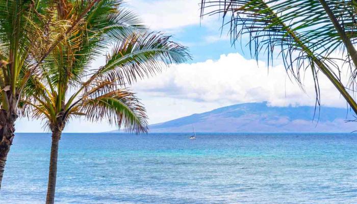 Mahana condo # 204, Lahaina, Hawaii - photo 1 of 30