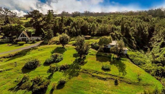 1100  Upper Kimo Dr Upper Kimo, Kula/Ulupalakua/Kanaio home - photo 1 of 30