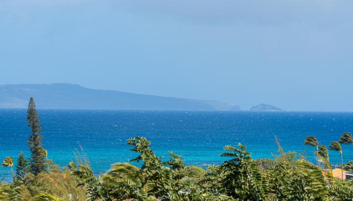 114  Kahana Nui Rd Kahana Ridge, Napili/Kahana/Honokowai home - photo 1 of 45