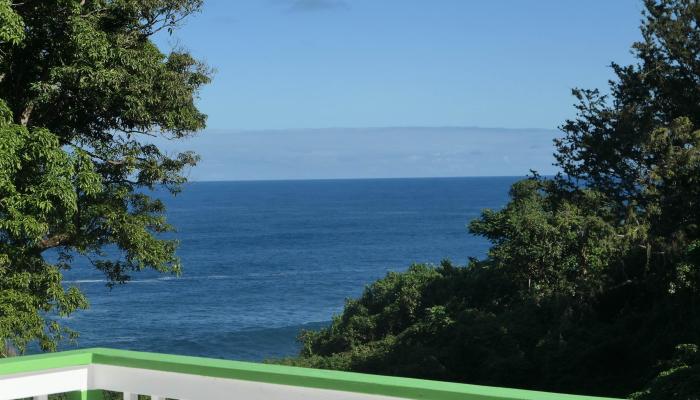 1155  Lower Nahiku Rd , Haiku home - photo 1 of 14