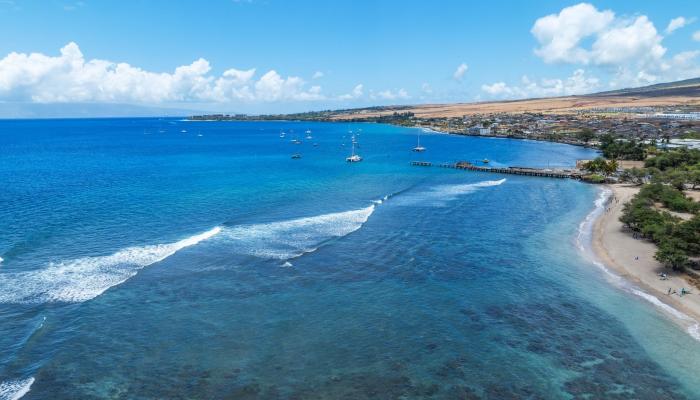 1184 Halepaka Pl  Lahaina, Hi vacant land for sale - photo 1 of 15