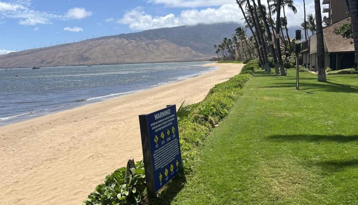 Maalaea Surf condo # F1, Kihei, Hawaii - photo 1 of 1