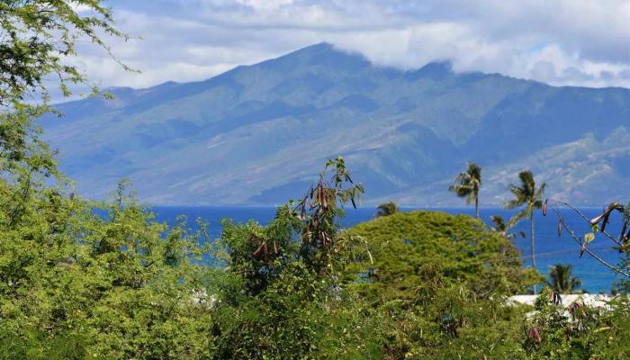 Napili Ridge condo # D 13, Lahaina, Hawaii - photo 1 of 27