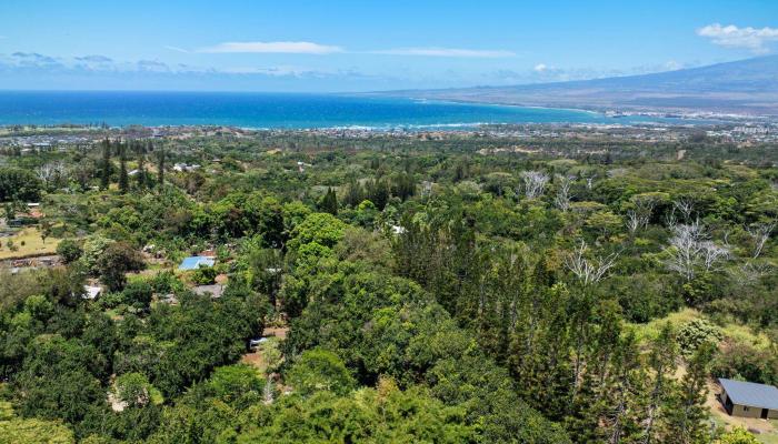 1368 Malaihi Pl   - photo 1 of 14