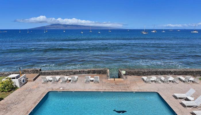 Lahaina Roads condo # 307, Lahaina, Hawaii - photo 1 of 20