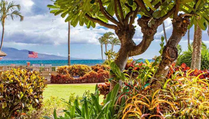 Island Sands condo # 101, Wailuku, Hawaii - photo 1 of 30