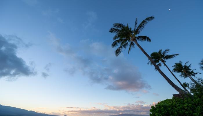 Island Sands condo # 306, Wailuku, Hawaii - photo 1 of 24