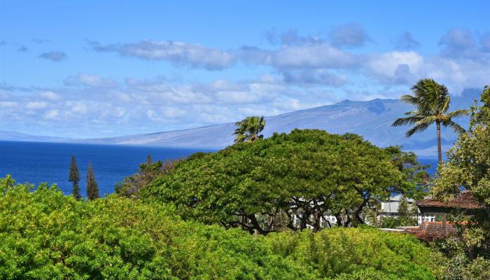 Kaanapali Plantation condo # 52, Lahaina, Hawaii - photo 1 of 50