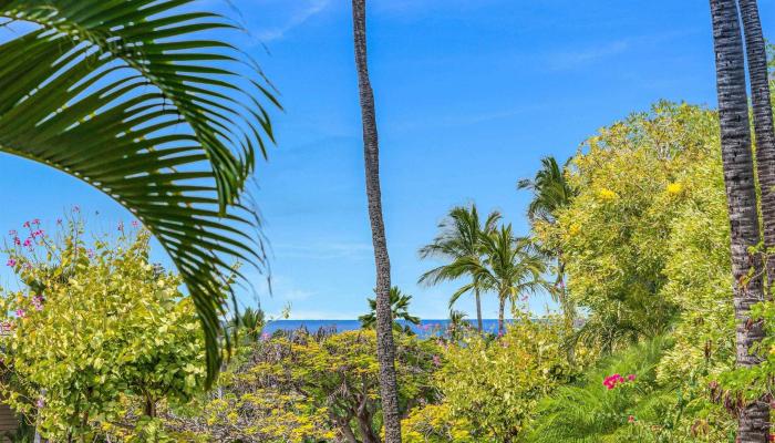 Grand Champions condo # 63, Kihei, Hawaii - photo 1 of 50