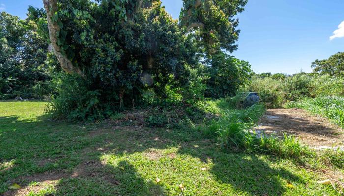 1706 Haiku Rd  Haiku, Hi vacant land for sale - photo 1 of 18